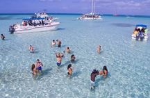 Saona Island Excursion by Catamaran and Speedboat (Full Day)