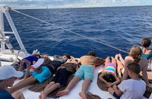 Saona Island Excursion by Catamaran and Speedboat (Full Day)