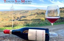 Classic Private Wine Tasting in Castagnole delle Lanze