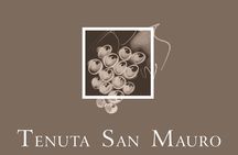 Classic Private Wine Tasting in Castagnole delle Lanze