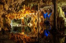 Private Turtles & Cenotes Adventure 