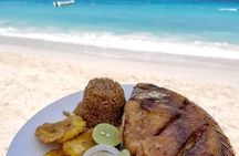 4 Rosario Islands Adventure with entrance to the oceanarium included