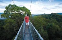 Full Day Trip of Brunei Ulu Temburong National Park including Canopy Walk