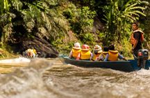 Full Day Trip of Brunei Ulu Temburong National Park including Canopy Walk
