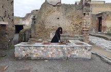 Private Walking Tour through the Historical City of Herculaneum