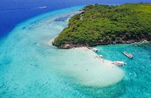 Oslob Whale Shark & Tumalog Waterfalls & Sumilon Sandbar