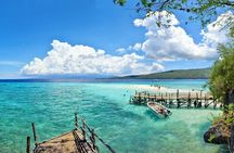 Oslob Whale Shark & Tumalog Waterfalls & Sumilon Sandbar
