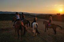 Horsebackriding - explore Tuscan nature