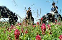 Horsebackriding - explore Tuscan nature