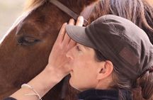 Horsebackriding - explore Tuscan nature