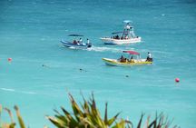Private Tulum Ruins, Reef Snorkel & Cenote Adventure