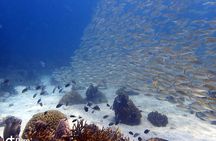 Koh Chang Dive Trip Including 3 Dives (Start at Koh Chang)
