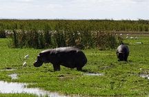 Day Trip to Manyara National Park From Arusha / Kilimanjaro