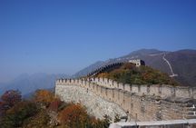 Group Tour: Tiananmen Square, Forbidden City&Mutianyu Great Wall