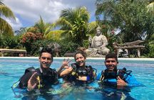 Discovering Diving / Discover Scuba Diving (DSD)