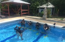 Discovering Diving / Discover Scuba Diving (DSD)