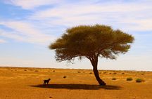 4 Days Private Tour from Agadir to Marrakech with overnight in Erg Chegaga Dunes
