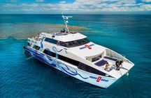 Great Barrier Reef Full Day Tour from Cairns