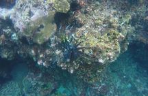 East Bali Spear Or Line Fishing Tour At Virgin Beach