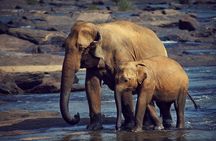 The Most popular Personalized round Tour In Sri Lanka-Day Charged