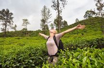 The Most popular Personalized round Tour In Sri Lanka-Day Charged