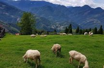 5-day Taiwan Family Fun Private Tour
