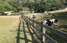 5-day Taiwan Family Fun Private Tour