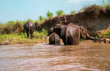 Full Day Chauffeur Driven Tuk Tuk Adventure in Chiang Mai including rafting