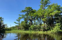 Highlights of New Orleans City and Swamp Tour Combination