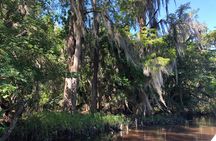 Highlights of New Orleans City and Swamp Tour Combination