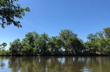Highlights of New Orleans City and Swamp Tour Combination
