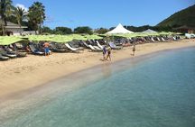 Caribbean Beach Delight 