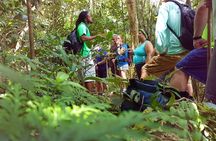 St Kitts Half-Day Rainforest Tour 