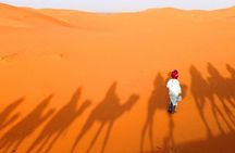 3-Day Tour from Marrakech to Merzouga Luxury Camp with Camel 