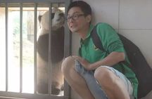 Dujiangyan Panda Center and Dujiangyan Irrigation System One Day Tour