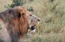 2 Day Mokoro Camping Safari - Boro Island Adventure