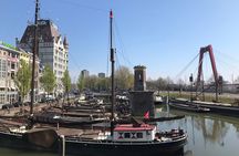 Private tour: Markthal, Cube houses and Rooftop Het Witte Huis