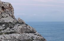 Let's Explore the Maltese Islands! (Half Day Private Group)