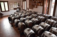 Private half day tour in Parma