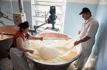 Private half day tour in Parma