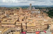 Siena private guided tour for families
