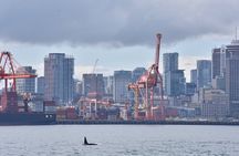 Vancouver Half-Day Whale Watching Adventure with Free Photos