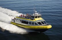 Vancouver Island Half-Day Whale Watching Tour - Telegraph Cove