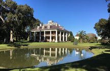 Airboat and Plantations Tour with Gourmet Lunch from New Orleans