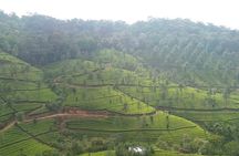 3 Nights Private Tour- Cochin/Munnar/Houseboat- Sanguine Holidays