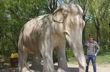 All-inclusive Day Tour to Summer Palace, Ming Tombs & Sacred Path with Lunch