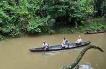 5-Day Wildlife of the Pacaya National Park from Iquitos