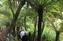 Waiheke Island Private Freedom Te Ara Hura Walk