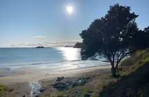 Private Guided Best of Waiheke Island