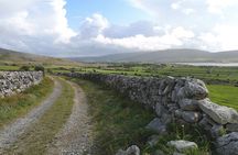 The Burren and Cliffs of Moher Full Day Private Tour from Galway